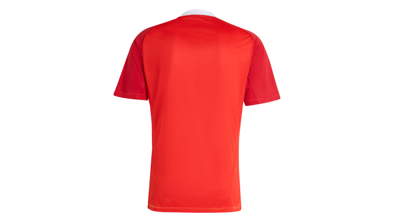 Manto Flamengo Goleiro 3 Adidas 2025 - Loja Oficial do Flamengo