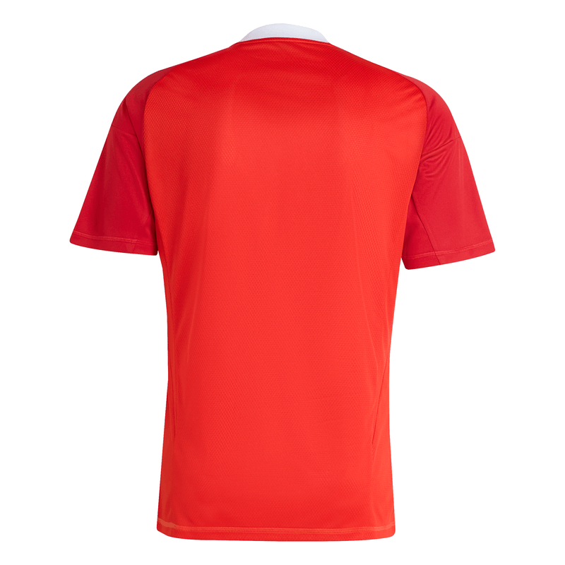 Manto Flamengo Goleiro 3 BETANO Adidas 2025 - Loja Oficial do Flamengo