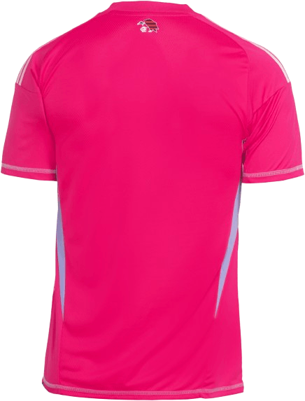 Manto Flamengo Goleiro 2 Adidas 2025 - Loja Oficial do Flamengo